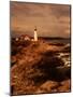 Museum and Portland Head Light House at Cape Elizabeth, Portland, Maine, Portland, USA-Mark Newman-Mounted Photographic Print