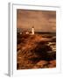 Museum and Portland Head Light House at Cape Elizabeth, Portland, Maine, Portland, USA-Mark Newman-Framed Photographic Print