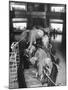 Museum Attendants Cleaning Elephants in the New York Museum Exhibits-Jack Birns-Mounted Photographic Print