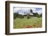 Museum Hasli, Grafenhausen, Black Forest, Baden Wurttemberg, Germany, Europe-Markus Lange-Framed Photographic Print