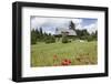 Museum Hasli, Grafenhausen, Black Forest, Baden Wurttemberg, Germany, Europe-Markus Lange-Framed Photographic Print