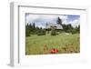 Museum Hasli, Grafenhausen, Black Forest, Baden Wurttemberg, Germany, Europe-Markus Lange-Framed Photographic Print