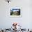 Museum of Folk Architecture, Olsztynek, Warmia and Masuria, Poland, Europe-Christian Kober-Framed Photographic Print displayed on a wall