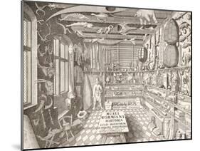 Museum of Ole Worm, Leiden, 1655-G. Wingendorp-Mounted Giclee Print