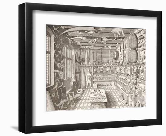 Museum of Ole Worm, Leiden, 1655-G. Wingendorp-Framed Giclee Print