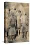 Museum of the Terracotta Warriors, Shaanxi Province, China-G & M Therin-Weise-Stretched Canvas