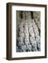 Museum of the Terracotta Warriors, Shaanxi Province, China-G & M Therin-Weise-Framed Photographic Print