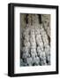 Museum of the Terracotta Warriors, Shaanxi Province, China-G & M Therin-Weise-Framed Photographic Print