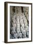 Museum of the Terracotta Warriors, Shaanxi Province, China-G & M Therin-Weise-Framed Photographic Print