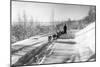 Mushing a Dog Sled in Alaska Photograph - Alaska-Lantern Press-Mounted Art Print