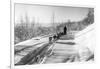 Mushing a Dog Sled in Alaska Photograph - Alaska-Lantern Press-Framed Art Print