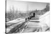 Mushing a Dog Sled in Alaska Photograph - Alaska-Lantern Press-Stretched Canvas