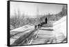 Mushing a Dog Sled in Alaska Photograph - Alaska-Lantern Press-Framed Stretched Canvas