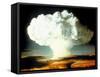 Mushrm. Cloud Rising White, Blotting Horizon, in "Op Ivy, Mike Shot" Atomic Bomb Test Blast-null-Framed Stretched Canvas