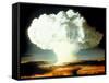 Mushrm. Cloud Rising White, Blotting Horizon, in "Op Ivy, Mike Shot" Atomic Bomb Test Blast-null-Framed Stretched Canvas