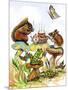 Mushroom Birthday Tea Party-Judy Mastrangelo-Mounted Giclee Print