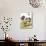 Mushroom Birthday Tea Party-Judy Mastrangelo-Mounted Giclee Print displayed on a wall