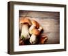 Mushroom Boletus over Wooden Background-Subbotina Anna-Framed Photographic Print