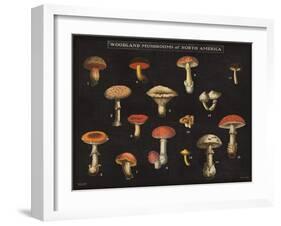 Mushroom Chart I-Wild Apple Portfolio-Framed Art Print