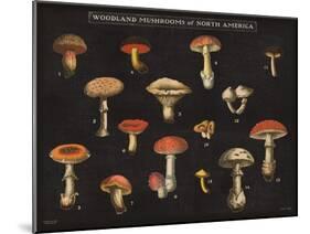 Mushroom Chart I-Wild Apple Portfolio-Mounted Art Print