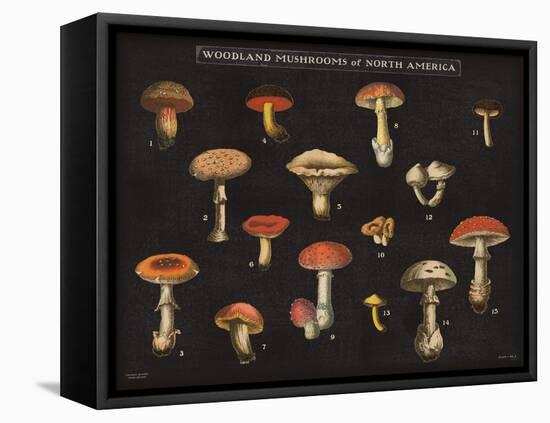 Mushroom Chart I-Wild Apple Portfolio-Framed Stretched Canvas