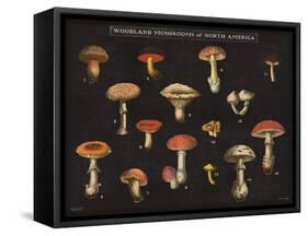 Mushroom Chart I-Wild Apple Portfolio-Framed Stretched Canvas