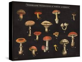 Mushroom Chart I-Wild Apple Portfolio-Stretched Canvas