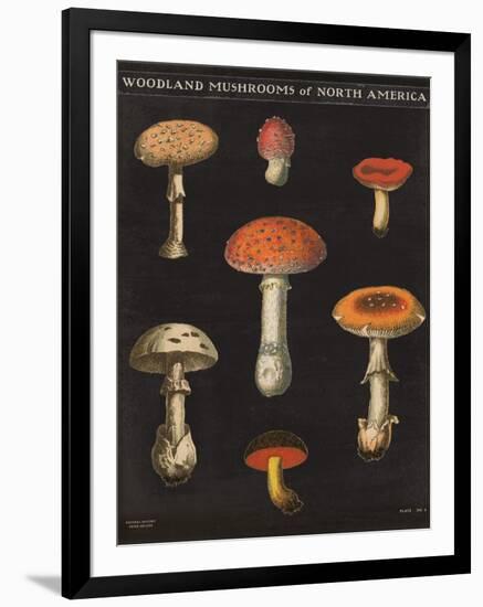 Mushroom Chart III-Wild Apple Portfolio-Framed Art Print