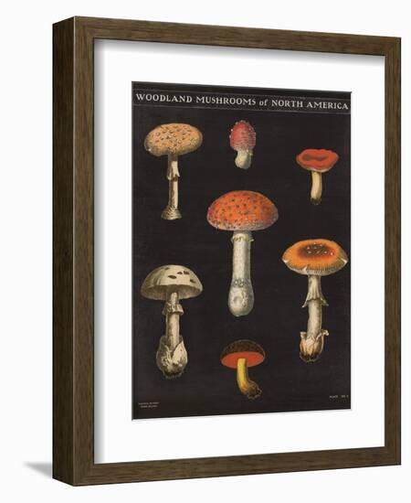 Mushroom Chart III-Wild Apple Portfolio-Framed Art Print