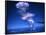 Mushroom Cloud from Atom Bomb Test-null-Framed Photographic Print