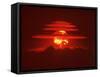 Mushroom Cloud from the World's First Hydrogen Fusion Blast-null-Framed Stretched Canvas