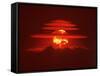 Mushroom Cloud from the World's First Hydrogen Fusion Blast-null-Framed Stretched Canvas