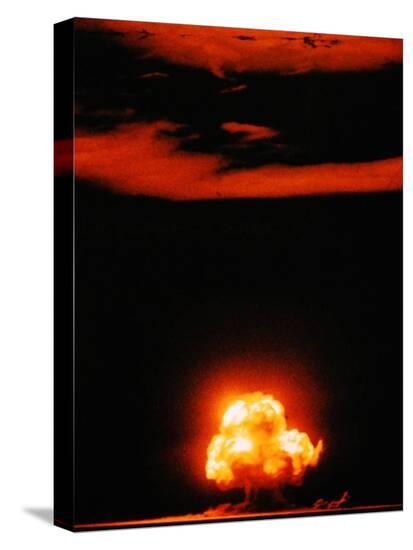 Stretched Canvas Print, , large