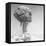 Mushroom Cloud-null-Framed Stretched Canvas