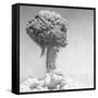 Mushroom Cloud-null-Framed Stretched Canvas