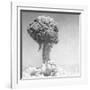 Mushroom Cloud-null-Framed Photographic Print