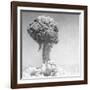 Mushroom Cloud-null-Framed Photographic Print