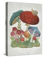 Mushroom Collection I-Chariklia Zarris-Stretched Canvas