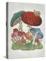 Mushroom Collection I-Chariklia Zarris-Stretched Canvas