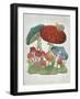 Mushroom Collection I-Chariklia Zarris-Framed Art Print