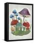 Mushroom Collection II-Chariklia Zarris-Framed Stretched Canvas