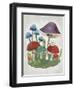 Mushroom Collection II-Chariklia Zarris-Framed Art Print