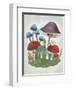 Mushroom Collection II-Chariklia Zarris-Framed Art Print