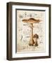 Mushroom I-Gwendolyn Babbitt-Framed Art Print