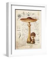 Mushroom I-Gwendolyn Babbitt-Framed Art Print