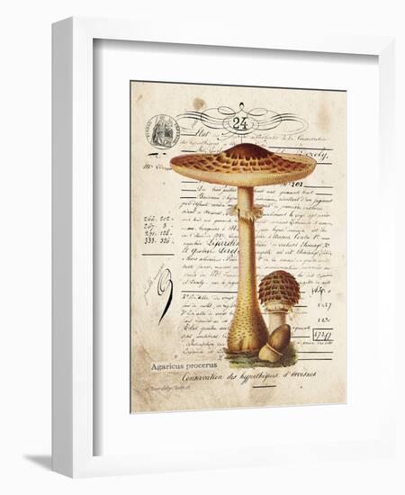 Mushroom I-Gwendolyn Babbitt-Framed Art Print