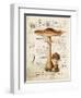 Mushroom I-Gwendolyn Babbitt-Framed Art Print