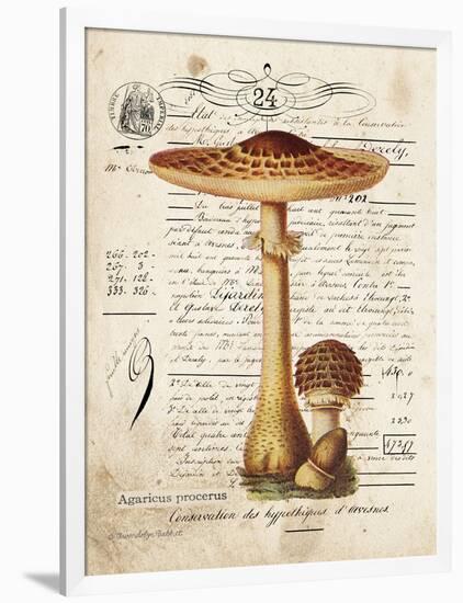 Mushroom I-Gwendolyn Babbitt-Framed Art Print