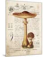 Mushroom I-Gwendolyn Babbitt-Mounted Art Print