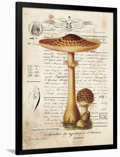 Mushroom I-Gwendolyn Babbitt-Framed Art Print